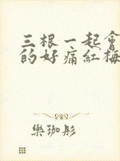 三根一起会坏掉的好痛红梅