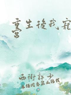 重生后我宠冠东宫