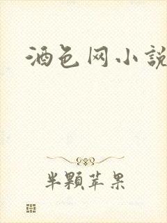 酒色网小说