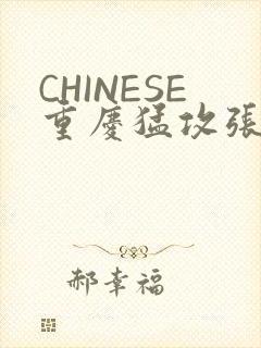 CHINESE重庆猛攻张先生