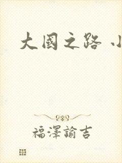 大国之路 小说