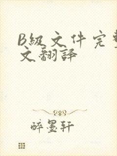 B级文件完整中文翻译