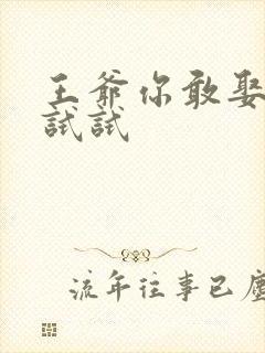 王爷你敢娶小三试试