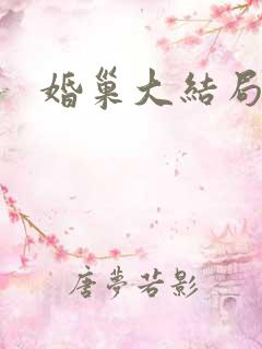 婚巢大结局