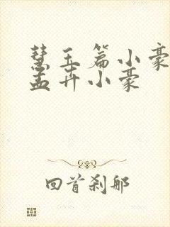 慧玉篇小豪续上孟卉小豪