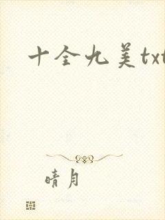 十全九美txt