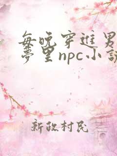 每晚穿进男神的梦里npc小说