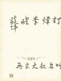 苏醒李炜打架事件