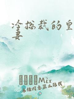 冷总裁的皇后暖妻