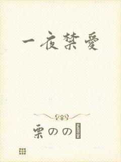 一夜禁爱