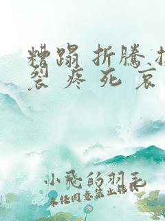 糟蹋 折腾 撕裂 疼 死 哀求