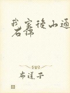 我家后山通仙界石锦