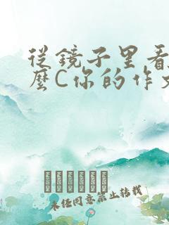 从镜子里看我怎么C你的作文