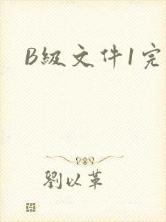 B级文件1完整