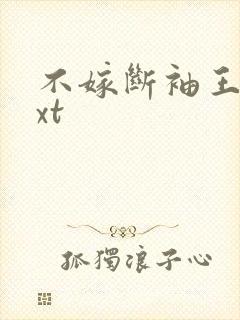 不嫁断袖王爷txt