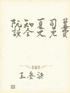 阮知夏司暮寒小说全文免费