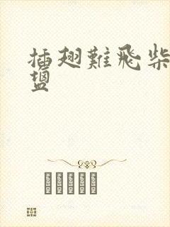 插翅难飞柴米油盐