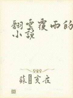 翻云覆雨的秘密小说