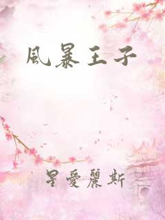 风暴王子