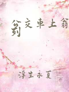 公交车上翁熄系列