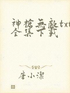 神枪无敌txt全集下载