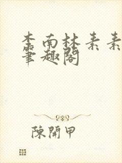 李南林素素小说笔趣阁