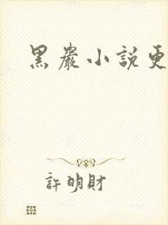 黑岩小说更新吧