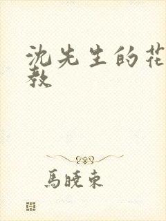 沈先生的花式调教