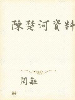 陈楚河资料