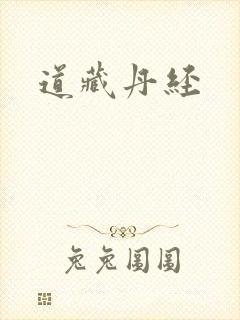 道藏丹经