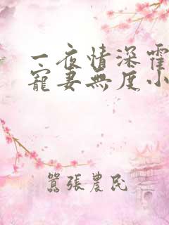 一夜情深霍先生宠妻无度小说免费阅读