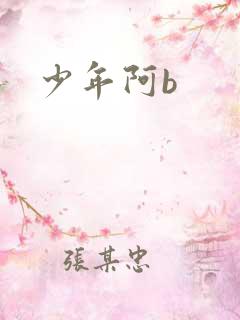 少年阿b