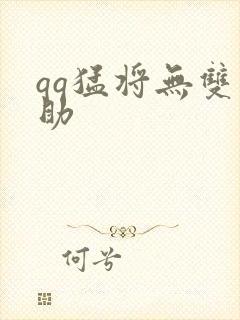 qq猛将无双辅助