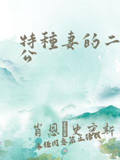 特种妻的二手老公