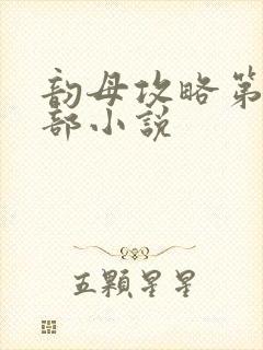 韵母攻略第12部小说