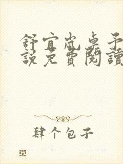 舒宜岚卓予淮小说免费阅读全文