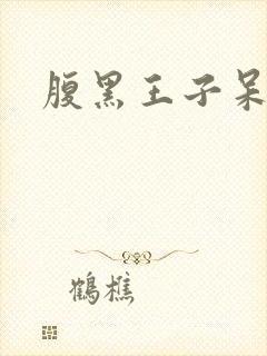 腹黑王子呆呆女