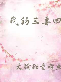我的三妻四妾