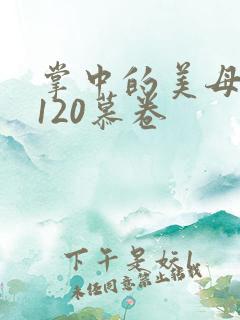 掌中的美母版主120慕卷