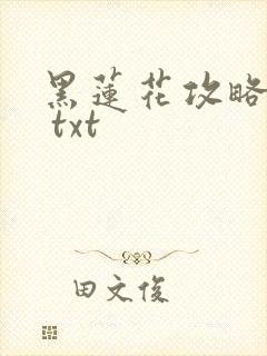 黑莲花攻略手册 txt