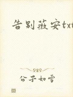 告别薇安txt