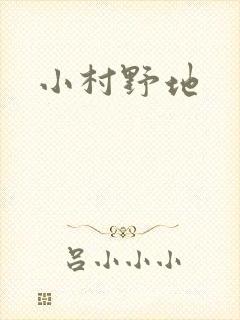 小村野地