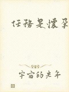 任务是怀孕系统