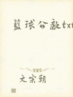 篮球公敌txt