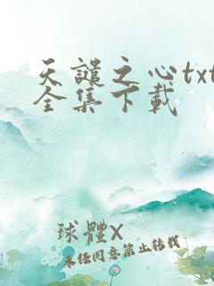 天谴之心txt全集下载