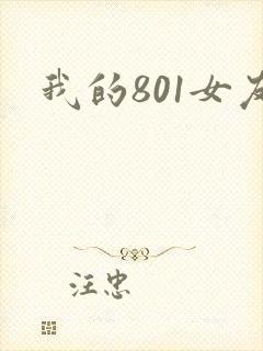我的801女友