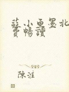 苏小鱼墨北枭免费畅读