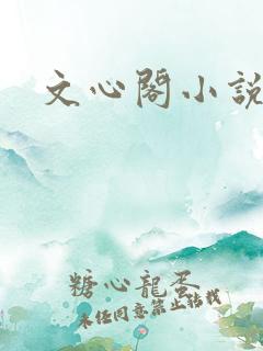 文心阁小说