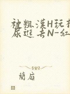 被粗汉H玩松了尿进去N-红-Q