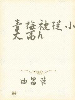 青梅被从小玩到大高h